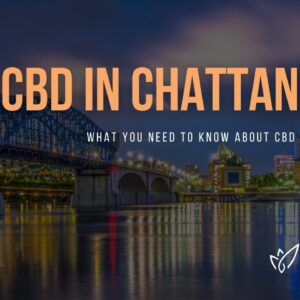 CBD Chattanooga | Buy CBD Oil in Chattanooga | Best CBD Oil Chattanooga | Verlota Inc