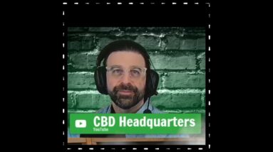 Cannabis Saves The Day Mental Health Awareness Check | CBD Headquarters Irish from Australia