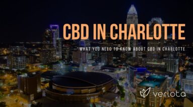 CBD Charlotte | Buy CBD Oil in Charlotte | Best CBD Oil Charlotte