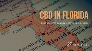 CBD Florida | Buy CBD Oil in Florida | Best CBD Oil Florida | Verlota Inc