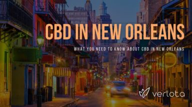CBD New Orleans | Buy CBD Oil in New Orleans | Best CBD Oil New Orleans