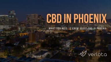 CBD Phoenix | Buy CBD Oil in Phoenix | Best CBD Oil Phoenix