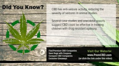Difference In Hemp Oil And CBD Oil All About CBD