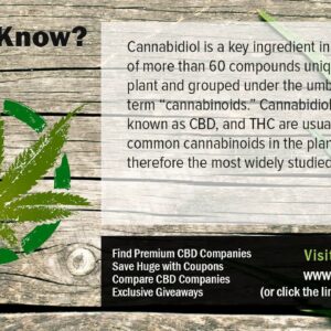 Does CBD Oil Cure Cancer CBD Uses