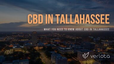CBD Tallahassee | Buy CBD Oil in Tallahassee | Best CBD Oil Tallahassee | Verlota Inc