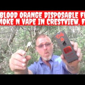 HXC Blood Orange Disposable from Smoke N Vape in Crestview, Fl!