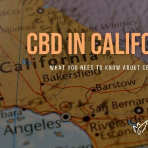 CBD California | Buy CBD Oil in California | Best CBD Oil California | Verlota Inc