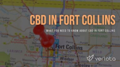 CBD Fort Collins | Buy CBD Oil in Fort Collins | Best CBD Oil Fort Collins | Verlota Inc
