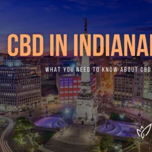 CBD Indianapolis | Buy CBD Oil in Indianapolis | Best CBD Oil Indianapolis | Verlota Inc