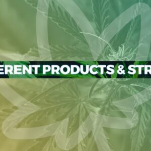 Picking the Right Strain and Delta 8 Product For You