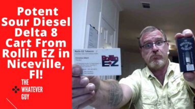 Potent Sour Diesel Delta 8 Cart From Rollin EZ in Niceville, Fl!