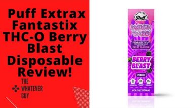 Puff Extrax Fantastix THC-O Berry Blast Disposable Review!