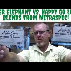 Super Elephant vs. Happy Go Lucky Blends from Mitraspec!