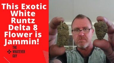 This Exotic White Runtz Delta 8 Flower is Jammin!