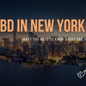 CBD New York City | Buy CBD Oil in New York City | Best CBD Oil New York City | Verlota Inc