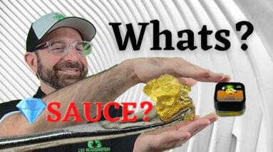 Why is CBD Diamond Sauce so Popular & What is It?